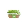 Box Healthy Herb - Peterselie 1 Box Healthy Herb - Peterselie -Gardena Winkel 1640856818 1 600