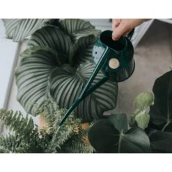 Haws Kamerplantengieter The Fazeley Flow 1 L - Groen 8 Haws Kamerplantengieter The Fazeley Flow 1 L - Groen -Gardena Winkel 1686734925 3 600