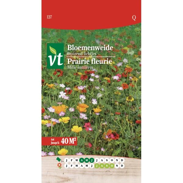 Bloemenweide Duizend Lichtjes - Tot 40 M² 3 Bloemenweide Duizend Lichtjes - Tot 40 M²