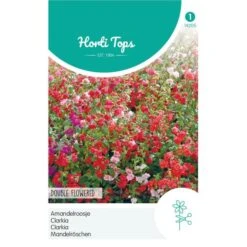 Amandelroosje - Clarkia Unguiculata