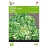 Andijvie Nummer Vijf - Cichorium Endivia 2 Andijvie Nummer Vijf - Cichorium Endivia -Gardena Winkel andijvie nummer vijf cichorium endivia 1646840314 71 600