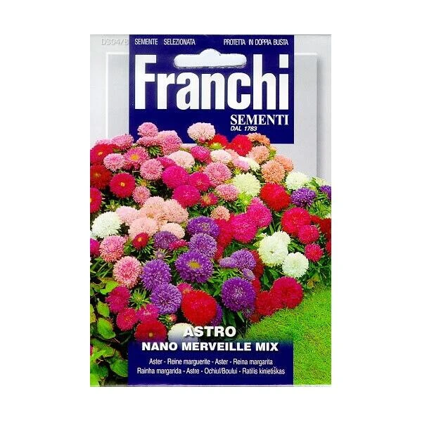 Astro Nano Merveille Mix - Aster Mengsel 3 Astro Nano Merveille Mix - Aster Mengsel