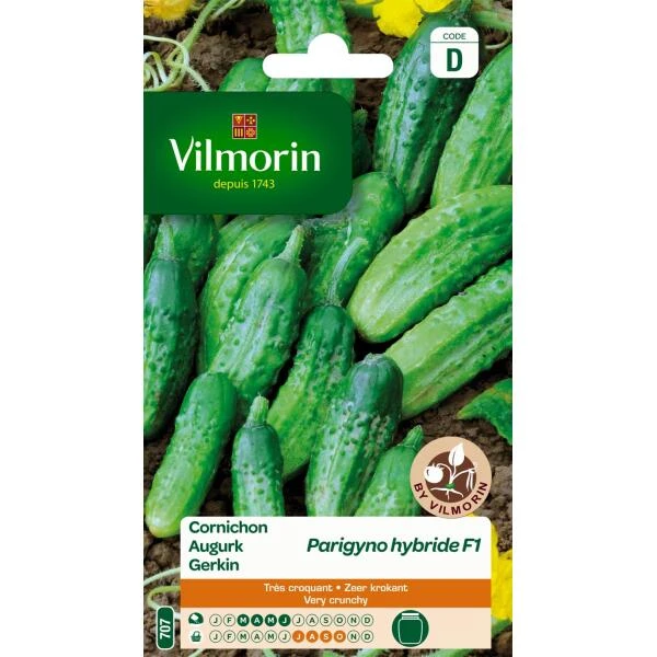 Augurk Parigyno HF1 3 Augurk Parigyno HF1