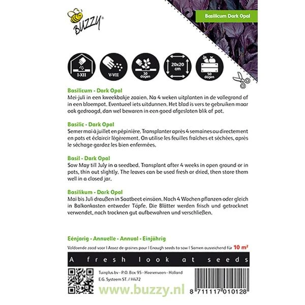 Basilicum Dark Opal - Ocimum Basilicum 4 Basilicum Dark Opal - Ocimum Basilicum - Afbeelding 2
