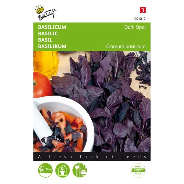 Basilicum Dark Opal - Ocimum Basilicum 3 Basilicum Dark Opal - Ocimum Basilicum
