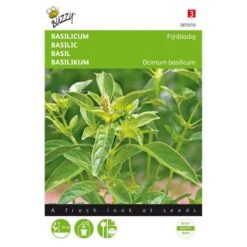 Basilicum Fijnbladig - Ocimum Basilicum