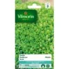 Basilicum Pesto - Ocimum Basilicum 2 Basilicum Pesto - Ocimum Basilicum -Gardena Winkel basilicum pesto ocimum basilicum 1646839538 178 600
