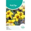 Bidens Golden Eye - Bidens Humilis -Gardena Winkel bidens golden eye bidens humilis 1646840359 1034 600