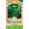 Bieslook BIO 1 Bieslook BIO -Gardena Winkel bieslook bio 1646839541 197 600