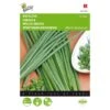 Bieslook Grove - Allium Fistulosum 2 Bieslook Grove - Allium Fistulosum -Gardena Winkel bieslook grove allium fistulosum 1646840312 19 600