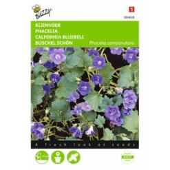 Bijenvoer - Phacelia Campanularia