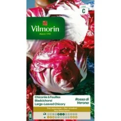 Bladcichorei Rode Van Verona