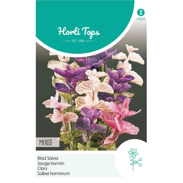 Bladsalvia Tricolor - Salvia Horminum Tricolor