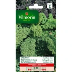 Boerenkool (Krulkool) Halfhoge Groene