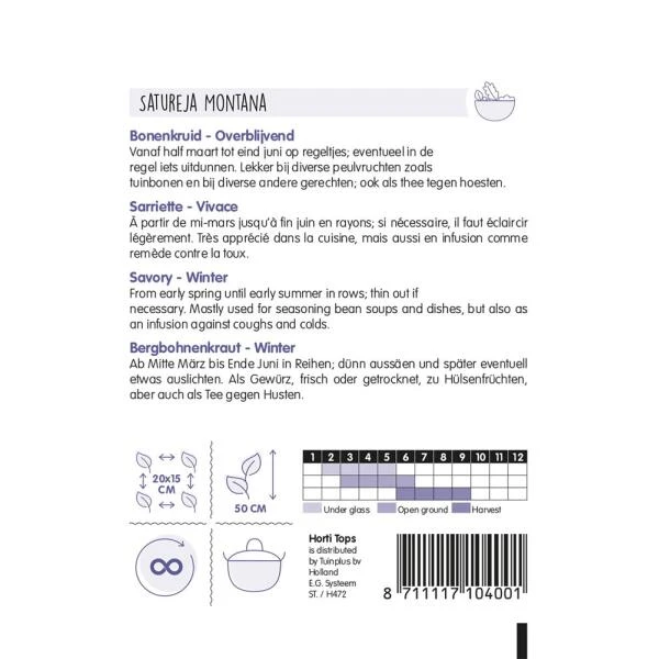 Bonenkruid - Satureja Montana 4 Bonenkruid - Satureja Montana - Afbeelding 2