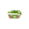 Box Healthy Herb - Bieslook 1 Box Healthy Herb - Bieslook -Gardena Winkel box healthy herb bieslook 1640857122 1 600