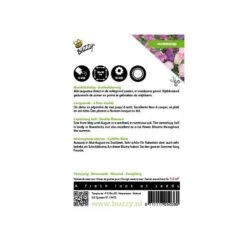 Campanula Medium (dubbelbloemig Marietteklokje) -Gardena Winkel campanula medium dubbelbloemig marietteklokje 1646840334 498 600