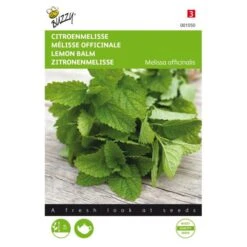 Citroenmelisse - Melissa Officinalis