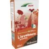 DCM Bloemenmengsel Lieveheersbeestjes - 10 M² -Gardena Winkel dcm bloemenmix lieveheersbeestjes 10 m 1675761967 1 600
