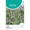 Dropplant - Agastache Mexicana -Gardena Winkel dropplant agastache mexicana 1646840359 1024 600