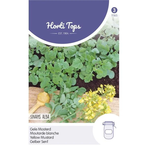 Gele Mosterd - Sinapis Alba 3 Gele Mosterd - Sinapis Alba