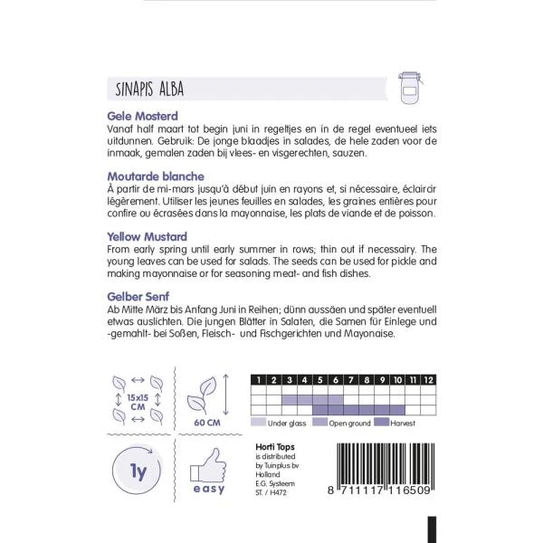 Gele Mosterd - Sinapis Alba 4 Gele Mosterd - Sinapis Alba - Afbeelding 2