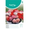 Geranium Magic Beauty - Pelargonium Zonale -Gardena Winkel geranium magic beauty pelargonium zonale 1646840363 1128 600