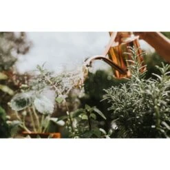 Haws Gieter 1 L - Koper 8 Haws Gieter 1 L - Koper -Gardena Winkel gieter haws 1 l koper 1659089480 2 600