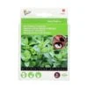 Groene Munt - 4 Zaadpads 1 Groene Munt - 4 Zaadpads -Gardena Winkel groene munt 4 zaadpads 1646840345 714 600