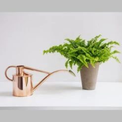 Haws Giftbox Gieter En Vernevelaar - Koper -Gardena Winkel haws giftbox koper 1485175232 0 600