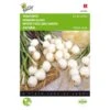 Inmaakuien Barletta - Allium Cepa -Gardena Winkel inmaakuien barletta allium cepa 1646840322 253 600