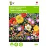 Japans Bloemengazon -Gardena Winkel japans bloemengazon 1646840333 477 600