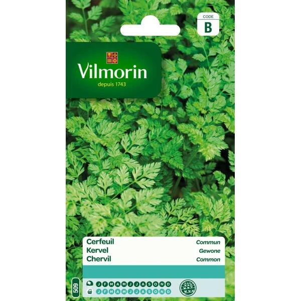 Kervel Gewone 3 Kervel Gewone