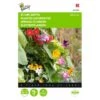 Klimplantenmengsel (diverse Soorten) -Gardena Winkel klimplantenmengsel diverse soorten 1646840333 479 600