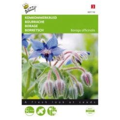 Komkommerkruid - Borago Officinalis