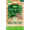 Koriander BIO 2 Koriander BIO -Gardena Winkel koriander bio 1646839541 198 600