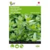 Kruizemunt - Mentha Spicata 2 Kruizemunt - Mentha Spicata -Gardena Winkel kruizemunt mentha spicata 1646840313 37 600