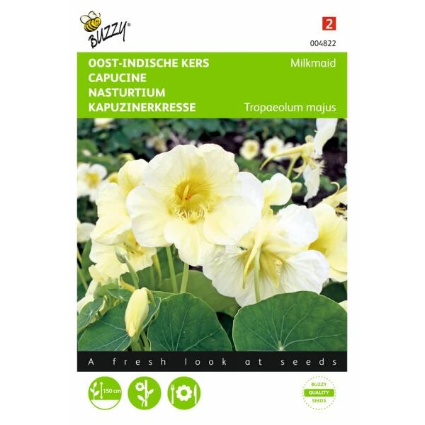 Oost Indische Kers Milkmaid 3 Oost Indische Kers Milkmaid