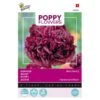 Papaver Black Paeony 1 Papaver Black Paeony -Gardena Winkel papaver black paeony 1646840389 1612 600