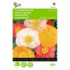 Papaver Nudicaule Excelsior - Pasteltinten -Gardena Winkel papaver nudicaule excelsior pasteltinten 1646840335 511 600