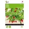 Peper Biquinho - Capsicum Chinense -Gardena Winkel peper biquinho capsicum chinense 1646840383 1526 600
