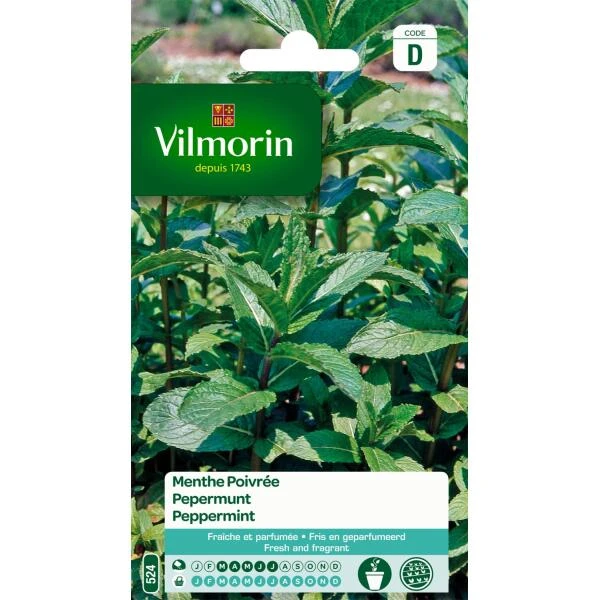 Pepermunt - Mentha Piperita 3 Pepermunt - Mentha Piperita