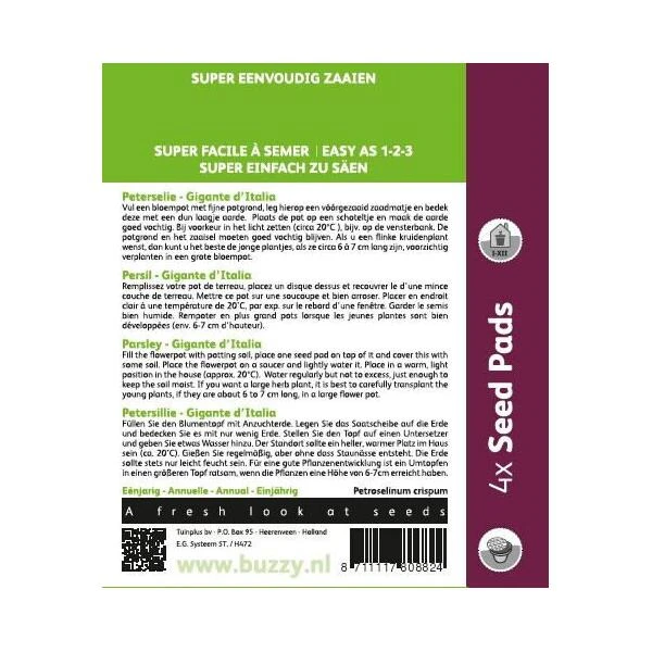 Peterselie - 4 Zaadpads 4 Peterselie - 4 Zaadpads - Afbeelding 2