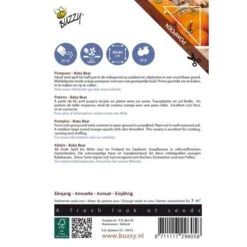 Pompoen Kalebas Baby Bear 5 Pompoen Kalebas Baby Bear -Gardena Winkel pompoen kalebas baby bear 1646840338 590 600