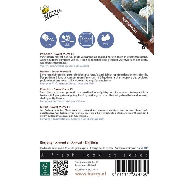 Pompoen Sweet Mama F1 4 Pompoen Sweet Mama F1 - Afbeelding 2
