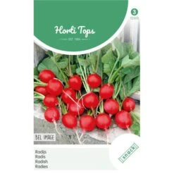 Radijs Bel Image - Raphanus Sativus