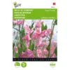 Reukerwt Royal Family Roze - Lathyrus Odoratus 2 Reukerwt Royal Family Roze - Lathyrus Odoratus -Gardena Winkel reukerwt royal family roze lathyrus odoratus 1646840329 389 600