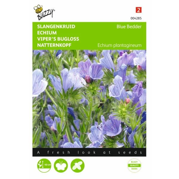 Slangenkruid Blue Bedder - Echium Plantagineum