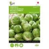 Spruitkool Topline F1 Hybride - Brassica Oleracea -Gardena Winkel spruitkool topline f1 hybride brassica oleracea 1646840316 115 600