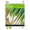 Stengelui Ishikura - Allium Fistulosum -Gardena Winkel stengelui ishikura allium fistulosum 1646840322 255 600